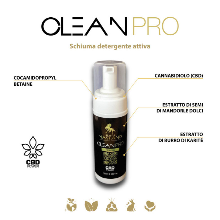 CLEAN PRO